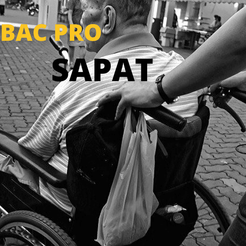 Bac Pro Sapat Crij Guadeloupe Bac Pro Sapat Crij Guadeloupe